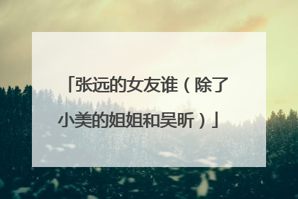 张远的女友谁(除了小美的姐姐和吴昕)