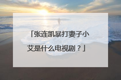 张连凯暴打妻子小艾是什么电视剧?