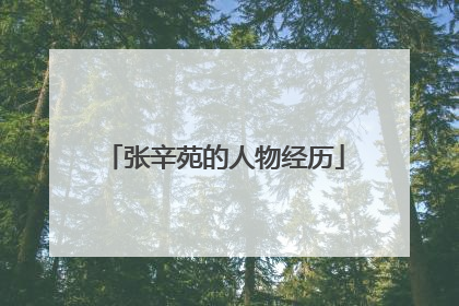 张辛苑的人物经历