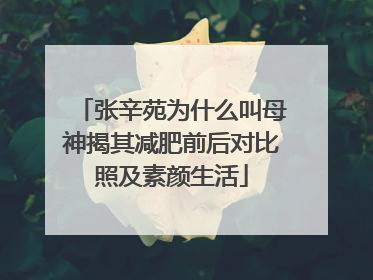 张辛苑为什么叫母神揭其减肥前后对比照及素颜生活