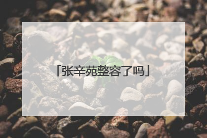 张辛苑整容了吗