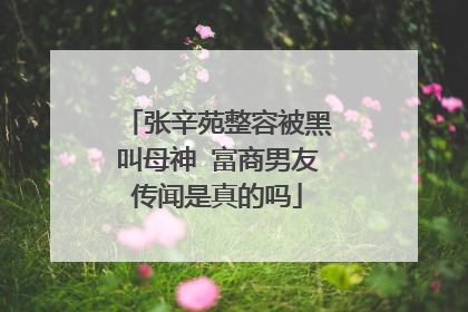 张辛苑整容被黑叫母神 富商男友传闻是真的吗