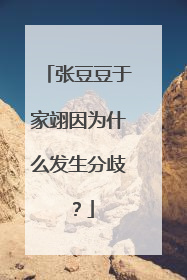 张豆豆于家翊因为什么发生分歧？