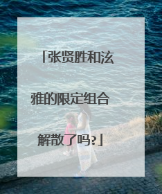 张贤胜和泫雅的限定组合解散了吗?