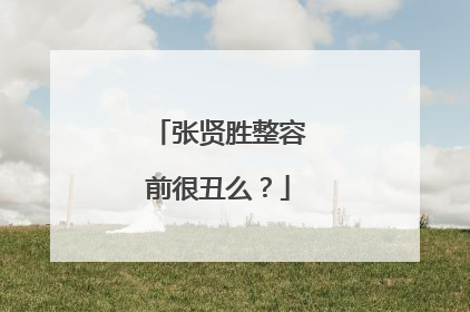 张贤胜整容前很丑么？