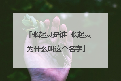 张起灵是谁 张起灵为什么叫这个名字