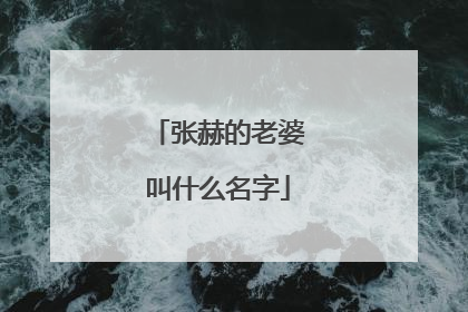 张赫的老婆叫什么名字