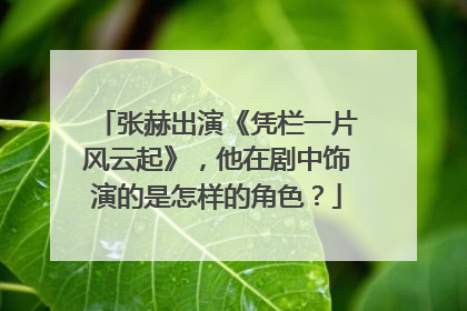 张赫出演《凭栏一片风云起》，他在剧中饰演的是怎样的角色？