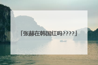 张赫在韩国红吗????