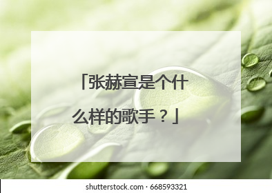 张赫宣是个什么样的歌手？