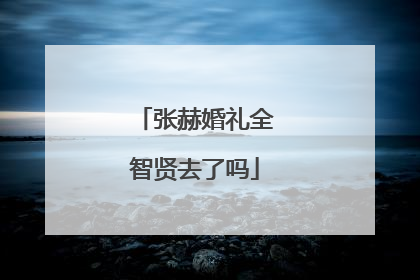 张赫婚礼全智贤去了吗