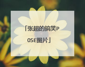张超的搞笑POSE图片