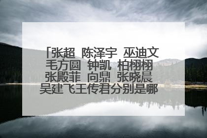 张超 陈泽宇 巫迪文 毛方圆 钟凯 柏栩栩 张殿菲 向鼎 张晓晨 吴建飞王传君分别是哪一届的好男儿