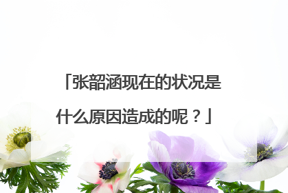 张韶涵现在的状况是什么原因造成的呢？