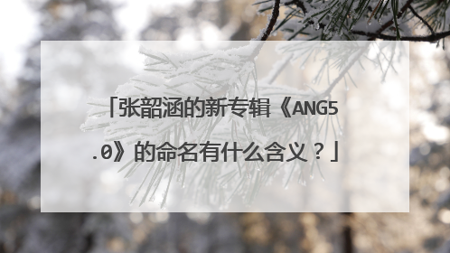 张韶涵的新专辑《ANG5.0》的命名有什么含义？