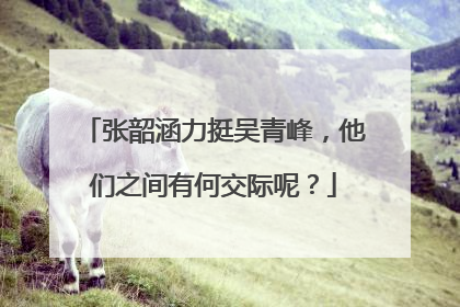 张韶涵力挺吴青峰,他们之间有何交际呢?