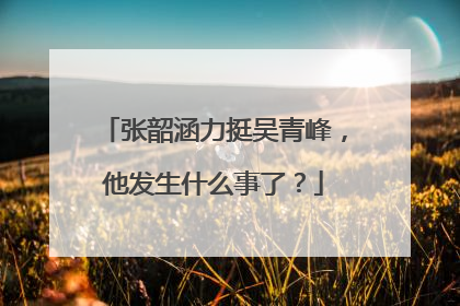 张韶涵力挺吴青峰，他发生什么事了？