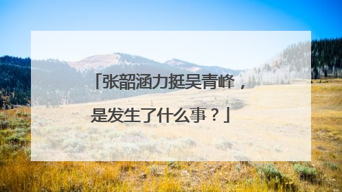 张韶涵力挺吴青峰，是发生了什么事？