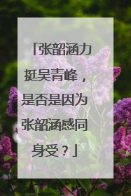 张韶涵力挺吴青峰,是否是因为张韶涵感同身受?