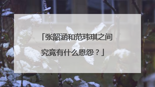 张韶涵和范玮琪之间究竟有什么恩怨？