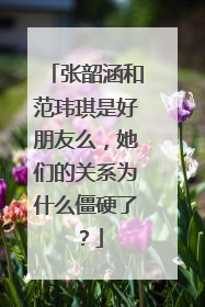 张韶涵和范玮琪是好朋友么，她们的关系为什么僵硬了？