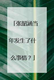 张韶涵当年发生了什么事情？