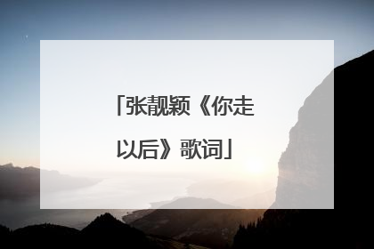 张靓颖《你走以后》歌词