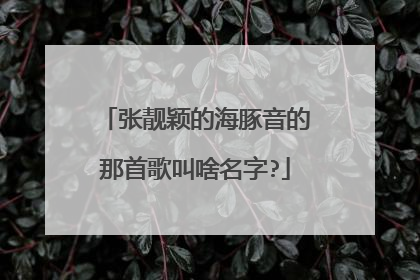 张靓颖的海豚音的那首歌叫啥名字?