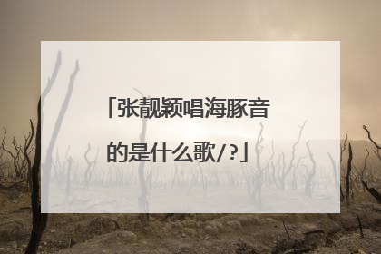 张靓颖唱海豚音的是什么歌/?