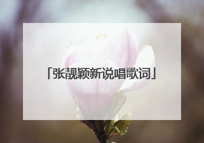 张靓颖新说唱歌词