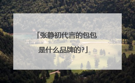 张静初代言的包包是什么品牌的?