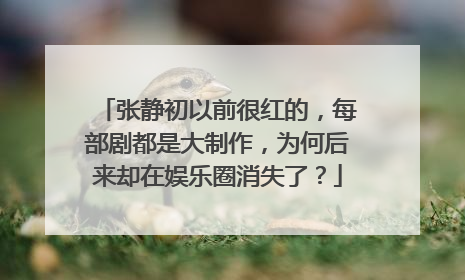 张静初以前很红的，每部剧都是大制作，为何后来却在娱乐圈消失了？