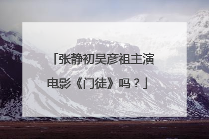 张静初吴彦祖主演电影《门徒》吗？