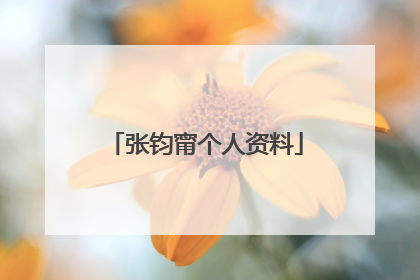 张钧甯个人资料