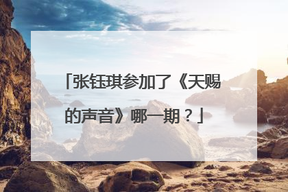 张钰琪参加了《天赐的声音》哪一期？