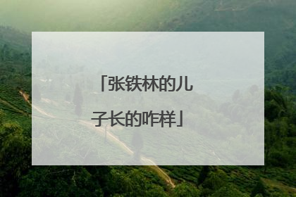 张铁林的儿子长的咋样