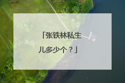 张铁林私生儿多少个？
