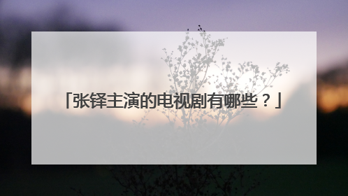 张铎主演的电视剧有哪些?