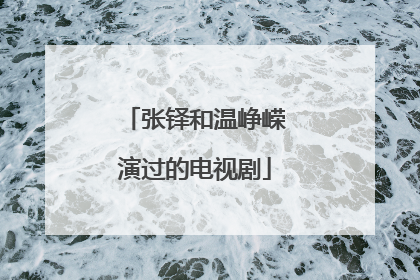 张铎和温峥嵘演过的电视剧