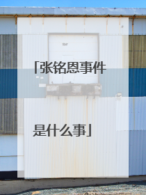 张铭恩事件是什么事