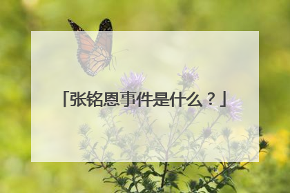 张铭恩事件是什么？