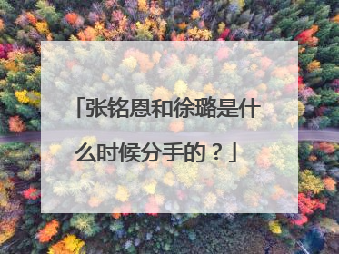 张铭恩和徐璐是什么时候分手的？