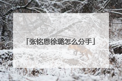 张铭恩徐璐怎么分手