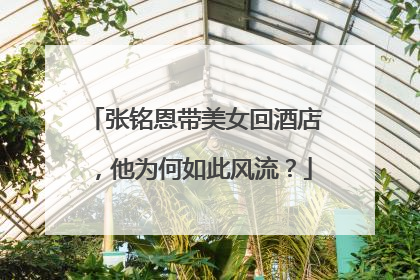 张铭恩带美女回酒店，他为何如此风流？