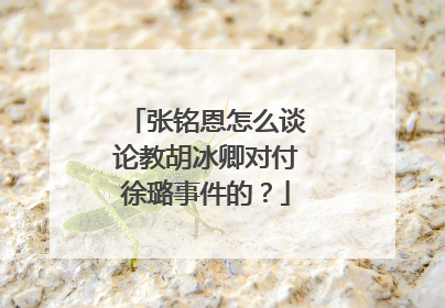 张铭恩怎么谈论教胡冰卿对付徐璐事件的?