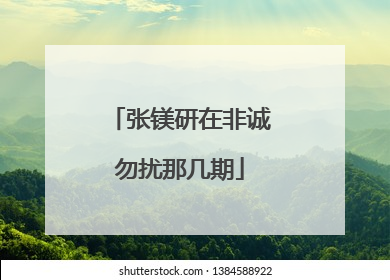 张镁研在非诚勿扰那几期