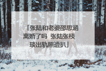 张陆和老婆邵思涵离婚了吗 张陆张棪琰出轨照遭扒