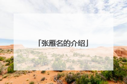 张雁名的介绍
