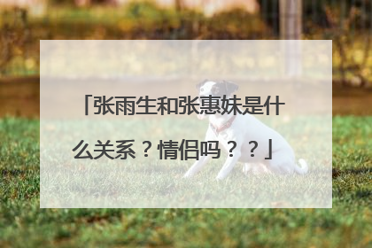 张雨生和张惠妹是什么关系?情侣吗??