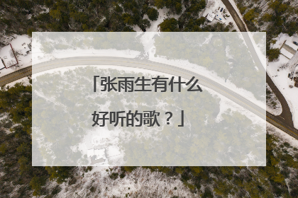 张雨生有什么好听的歌？